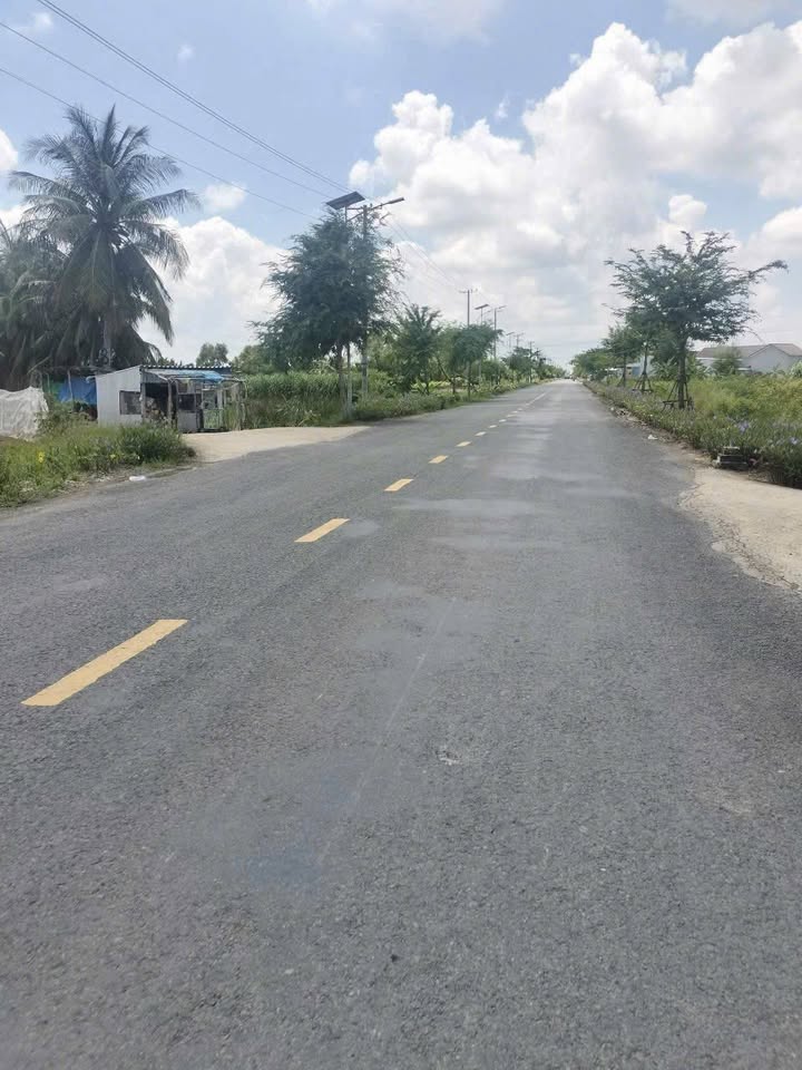 Đất Vườn Sóc Trăng 3.6ha Mặt Tiền Đường Lớn - Giá Đầu Tư 250 Triệu/Công