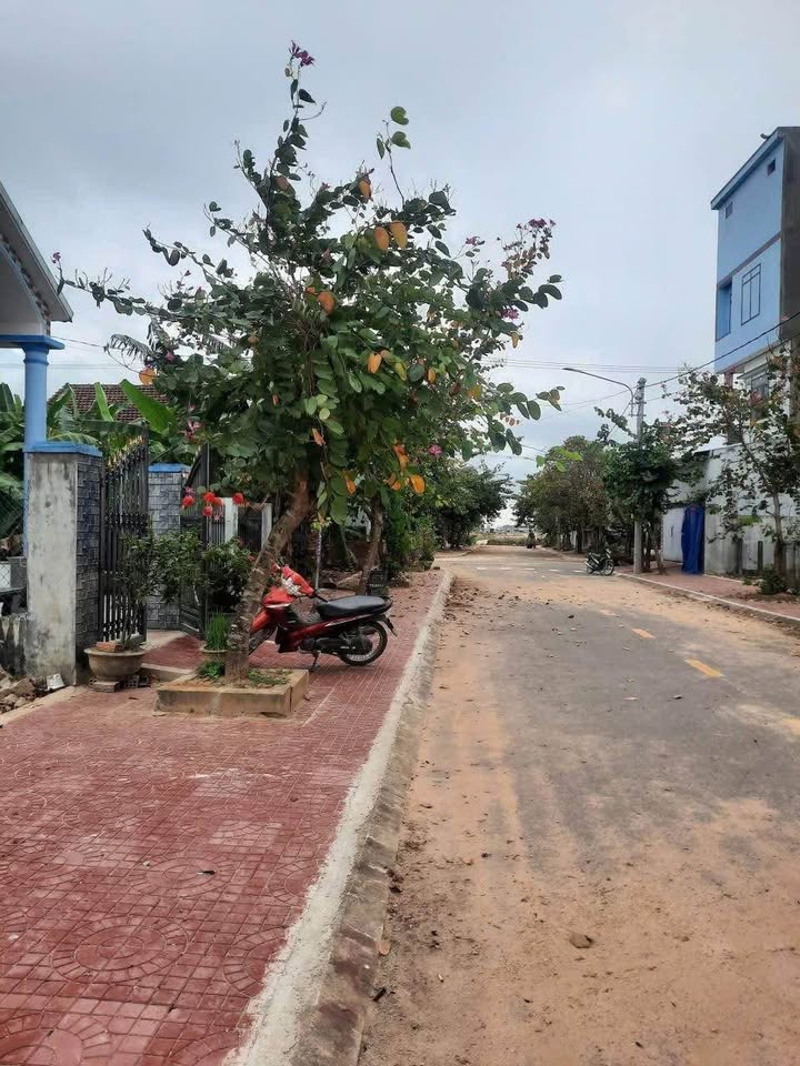Đất nền An Nhơn 154m² - Tiềm năng tăng giá vượt trội!