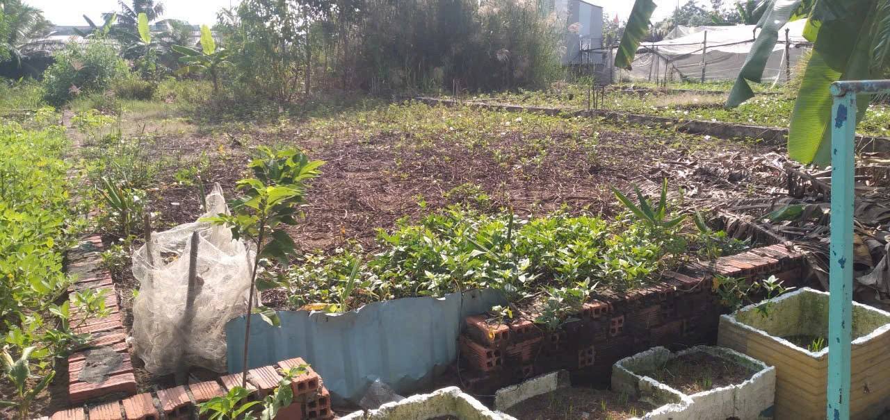 Bán Đất Vườn 576m² Hiệp Phước, Nhà Bè - Sổ Đỏ Rõ Ràng, Giá 3.5 Tỷ