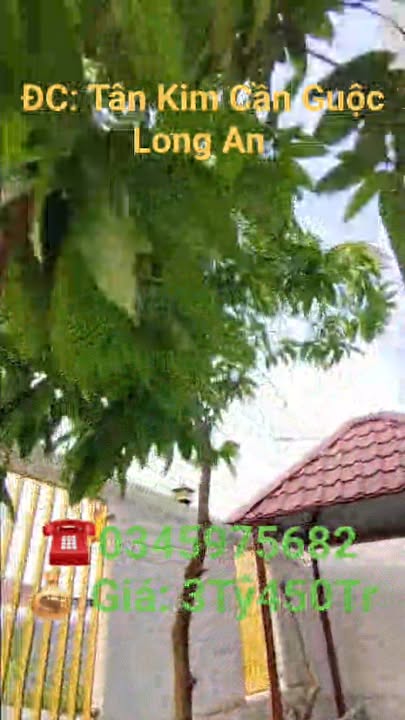 Nhà phố Cần Giuộc 112m² giá 3.45 tỷ - Sẵn sàng ở ngay!