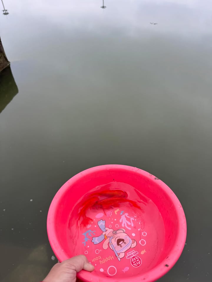 Đất Áp Góc Dự án Cao Đức - 80m² - Vạn An, Bắc Ninh - Giá 6.x Tỷ