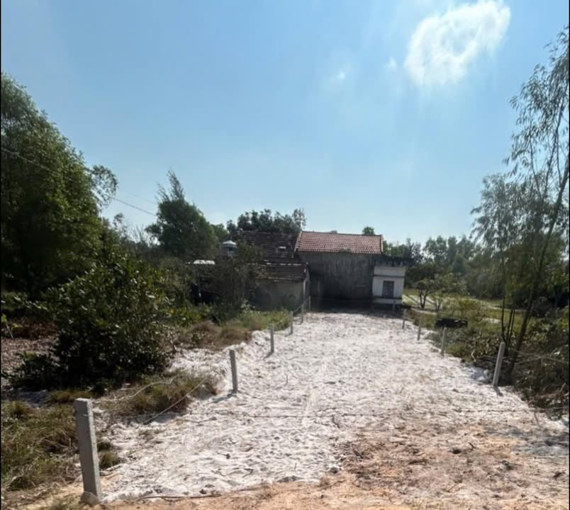 Lô đất Bình Khương 150m² - Thổ cư 100%, tiềm năng đầu tư!