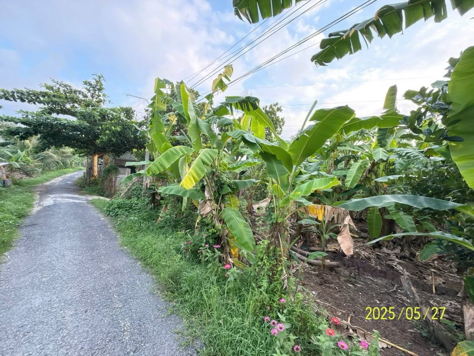 Đất vườn Long Hồ Vĩnh Long 1450m² - Nghỉ dưỡng lý tưởng giá tốt