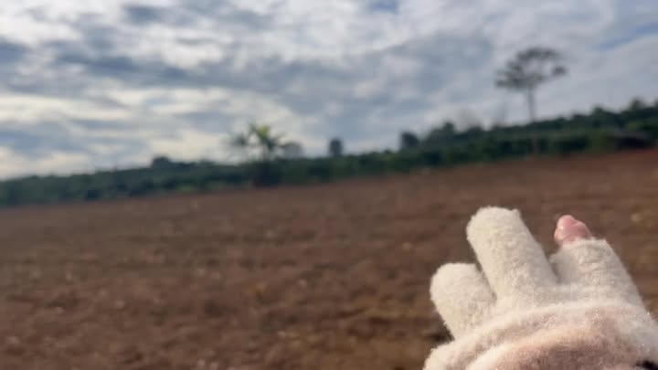 Đất Nền Lâm Hà 3800m² - Giá Rẻ Nhất Khu Vực, Sổ Đỏ Sẵn Sàng