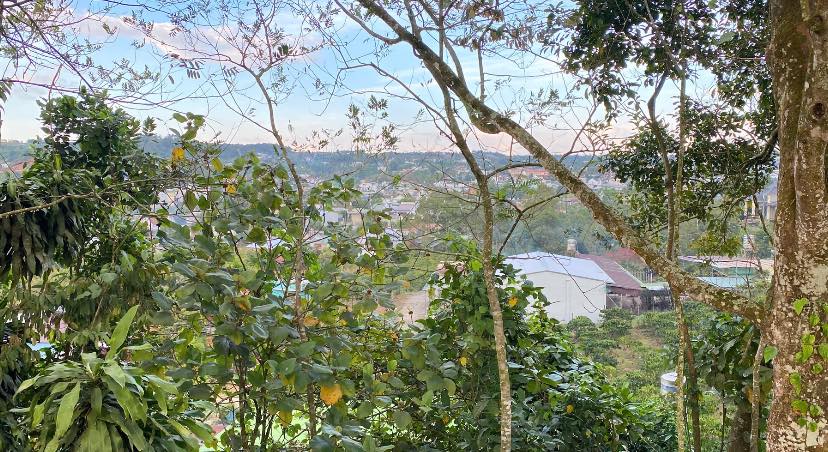 Đất Vườn Bảo Lộc 1024m² Sổ Sẵn - Giá Tốt Đầu Xuân