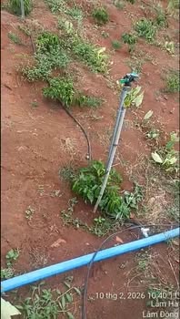 Đất nền Liên Hà 1800m² – Sẵn thổ cư, đường bê tông thông thoáng!