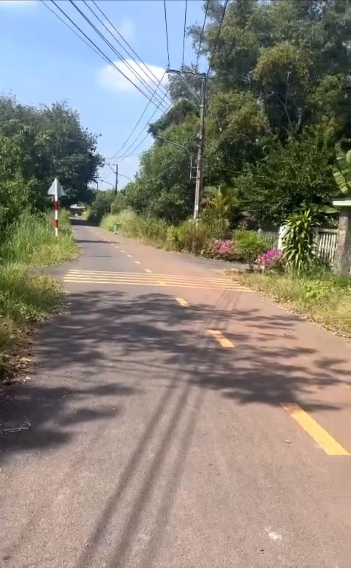 Bán đất 480m² Tân Hiệp, Hóc Môn - Sổ hồng thổ cư, gần chợ, trường học