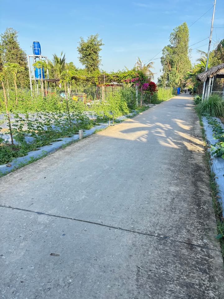 Đất Nền Mặt Sông Kinh 7 Châu Thành, Kiên Giang - 2450m² Sổ Đỏ, Giá Tốt