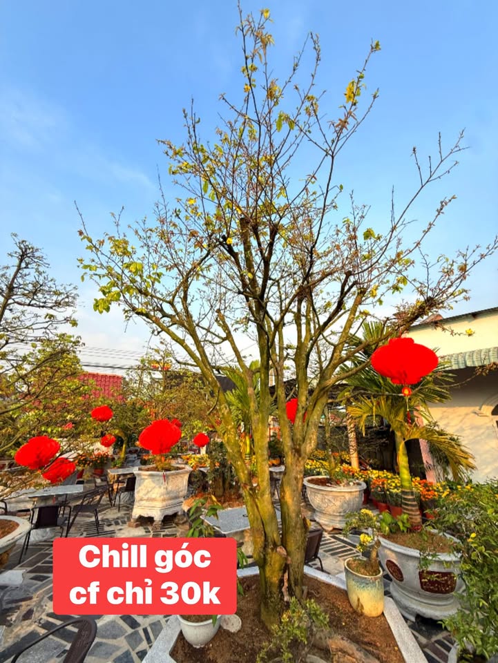 Đất Nền Minh Thạnh Dầu Tiếng 1000m² - Sổ Đỏ Chính Chủ!