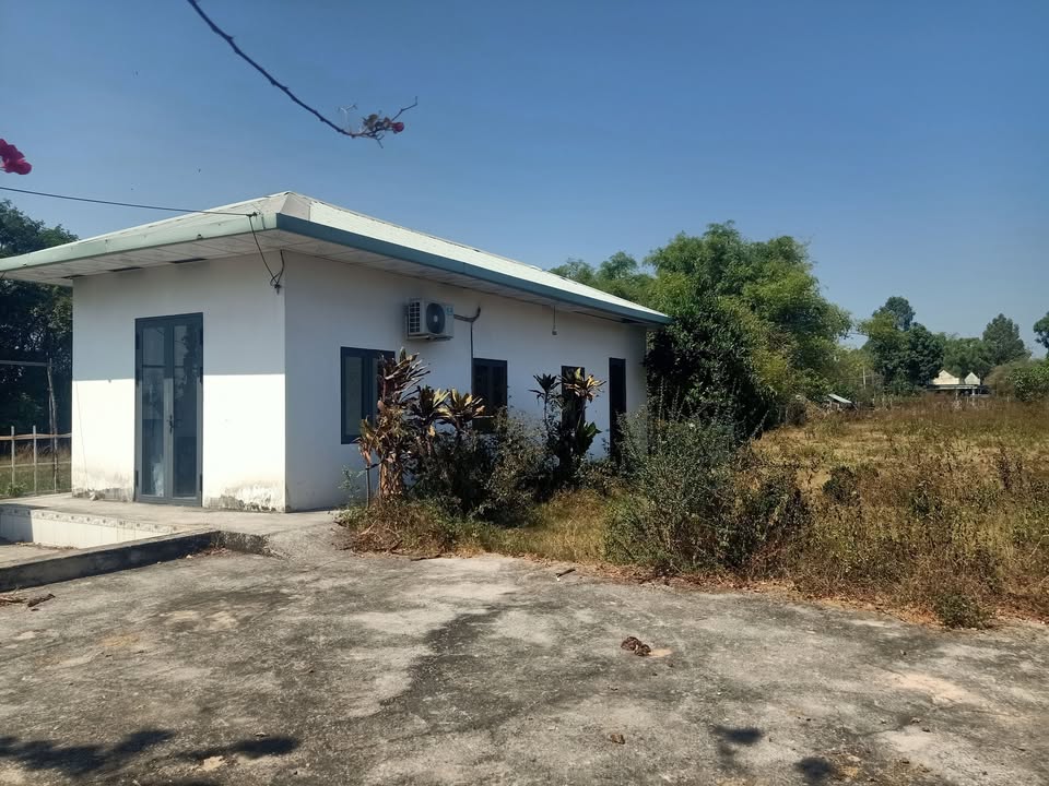 Đất nền Củ Chi 1000m² - Đất thổ cư 100%, sổ đỏ sẵn sàng!