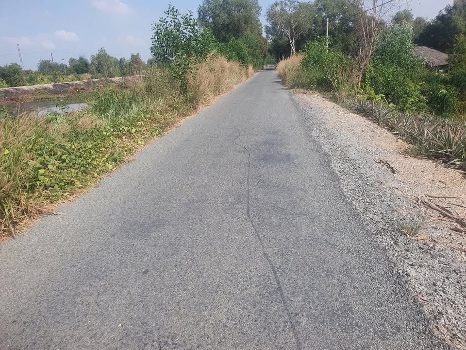 Bán Gấp Đất Vườn 7000m² Mặt Tiền Nhựa Hưng Thạnh, Tiền Giang - 1.4 Tỷ