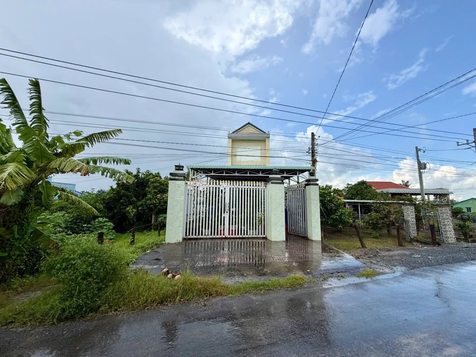 Đất Nhà Yến Tân Thuận Bình 278m² - Đầu tư sinh lời ngay!