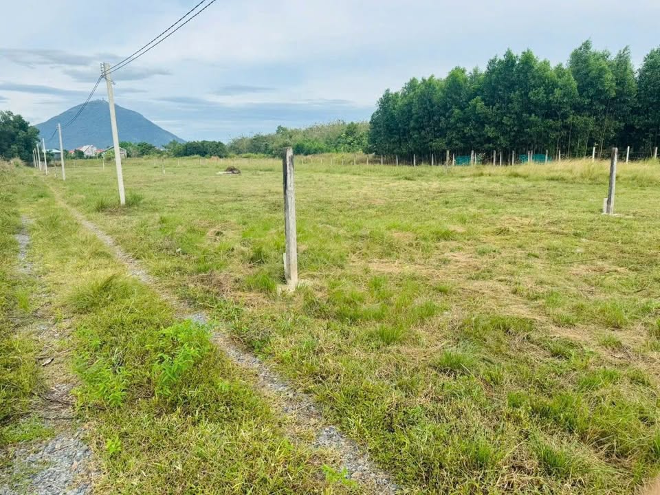 Đất nền Phường Hiệp Ninh, TP Tây Ninh 1087.8m² - Tiềm năng tăng giá!