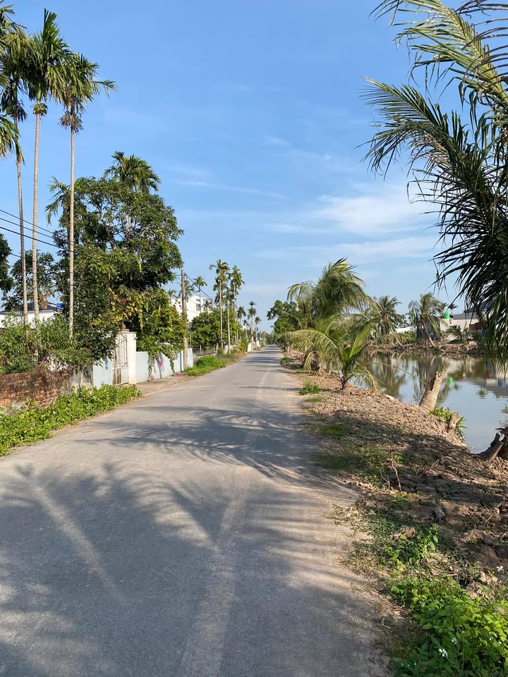 Đất Nền Tiên Lãng, Hải Phòng 115m² - Lô Góc Hướng Nam, Sinh Lời Cao