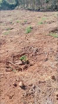 Bán Đất Vườn Đắk Nông 2340m² - 1.43 Tỷ, Sổ Đỏ Riêng