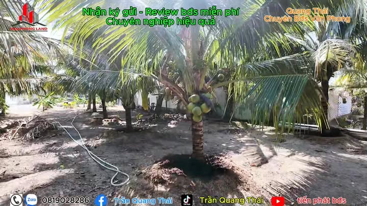 Đất Vàng Mặt Tiền QL1A Vạn Lương, 2107m² - Tiềm Năng Đầu Tư Vượt Trội