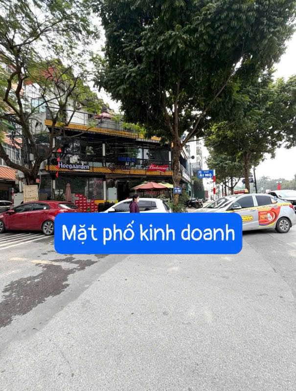 Nhà phố Ái Mộ Long Biên 42m² 18 tỷ - Mặt tiền kinh doanh đắc địa!