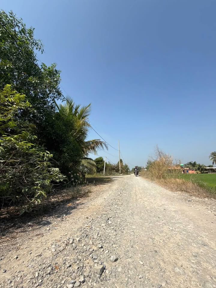 Đất nền Long An 1360m² - View sông Vàm Cổ, mặt tiền kênh 7