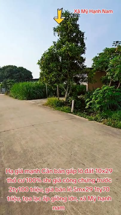 Đất Mỹ Hạnh Nam 290m² giá 2.1 tỷ - Sổ đỏ chính chủ bán gấp!