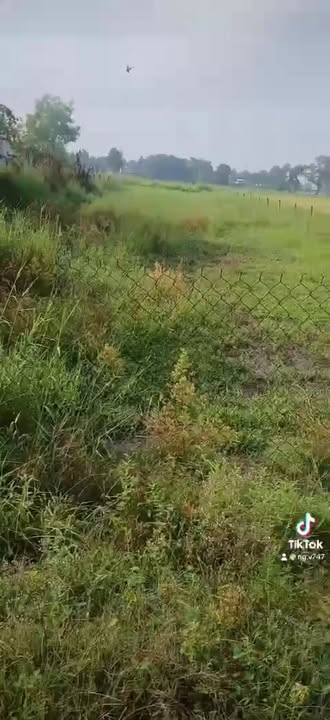 Đất nền Xã Hiệp Hòa Đức Hòa 1200m² - Giá tốt hiếm có!