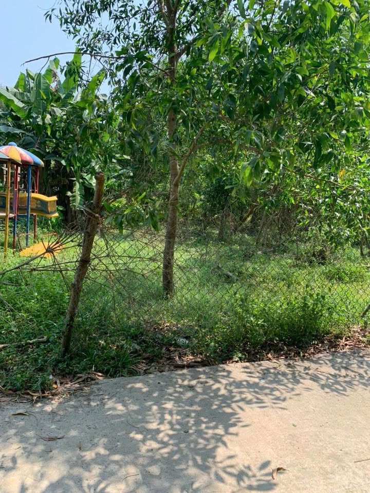 Đất nền Phú Đa, Huế 120m² - Sổ đỏ chính chủ, tiềm năng tăng giá!