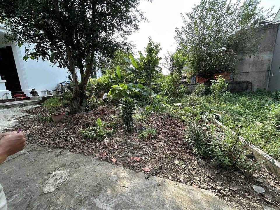 Đất nền Lạng Sơn 100m² Kỳ Lừa - Tiềm năng tăng giá!