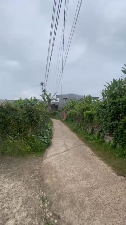 Bán gấp lô góc 101m² Phước Thuận, Bình Định - Cơ hội đầu tư 750 triệu