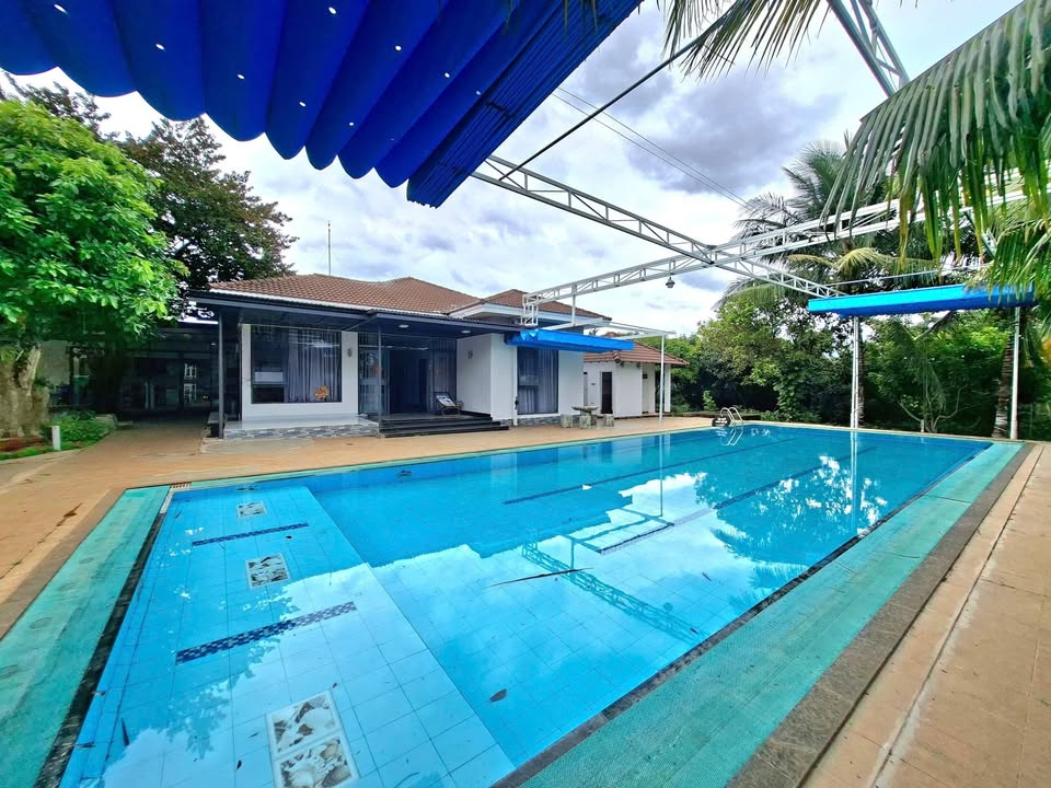 Biệt thự nhà vườn BMT 5000m² - Nghỉ dưỡng lý tưởng!