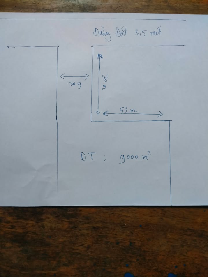 Đất Nền Tân Lập 2 Tân Phước Tiền Giang 9000m² - Sổ đỏ chính chủ