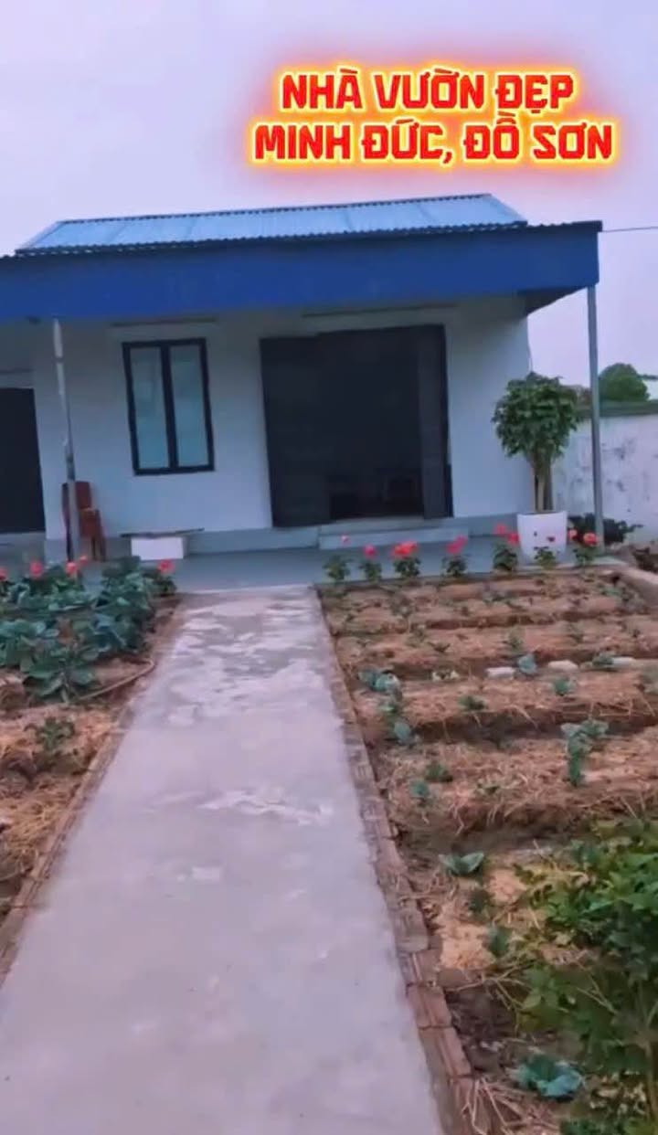 Nhà Vườn Minh Đức Đồ Sơn 1350m² - Nghỉ dưỡng lý tưởng!