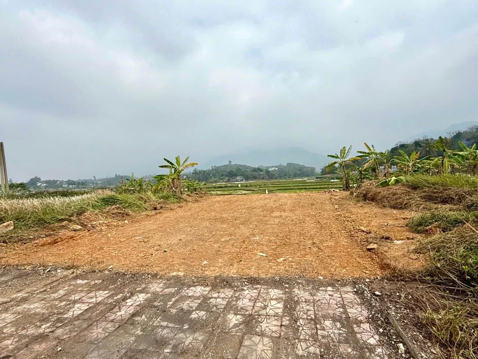 Đất nền Tam Quan, Tam Đảo 100m² - Sổ đỏ chính chủ 1.6 tỷ