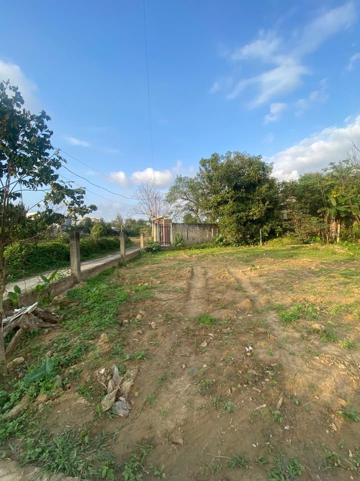 Đất Lô Góc Tứ Câu, Điện Ngọc 168m² - Sổ Hồng Sẵn Sàng