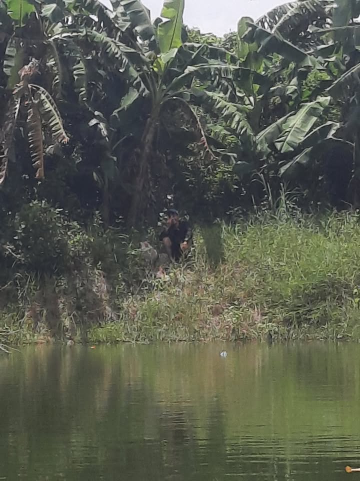 Đất Nền Hàm Tân, Bình Thuận 10.000m² - Tiềm Năng Tăng Giá Vượt Trội!