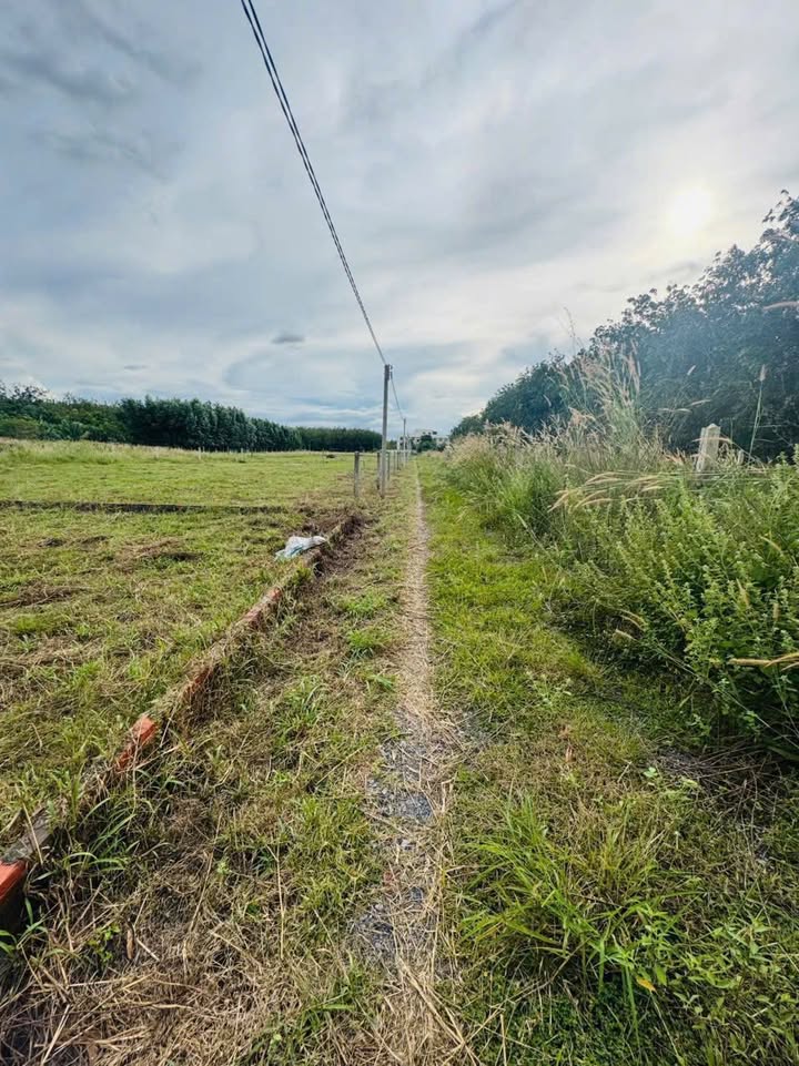 Đất nền Tân Ninh, Tây Ninh 1088m² - Tiềm năng tăng giá vượt trội!