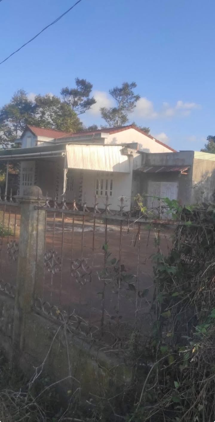 Đất Thổ Cư Đắk Lắk Có Sẵn Nhà Dưới 1 Tỷ - Đầu Tư Sinh Lời