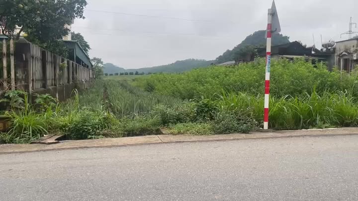 Đất Nền 150m² Sổ Đỏ Tại Phú Long, Ninh Bình - Giá 1 Tỷ