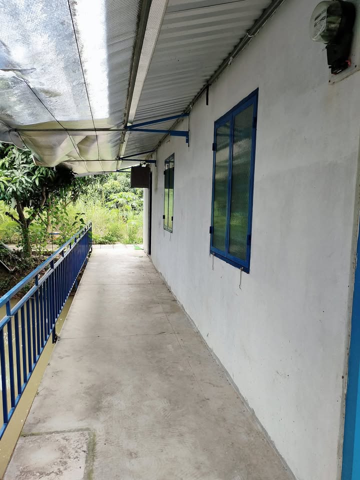 Nhà Cấp 4 Đường Lộ Hòa Đông, Cao Lãnh - 2PN, Không Chung Chủ