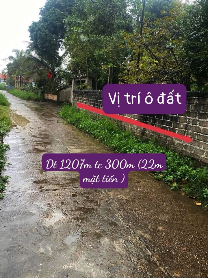 Bán đất Tam Nông - Phú Thọ 1207m² giá chỉ 2 tỷ - Sổ đỏ thổ cư sẵn sàng