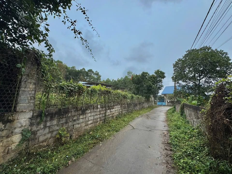 Đất Nền Lương Sơn, Sông Công 1000m² - Sổ Đỏ Sẵn Sàng, Giá Đầu Tư 2 Tỷ