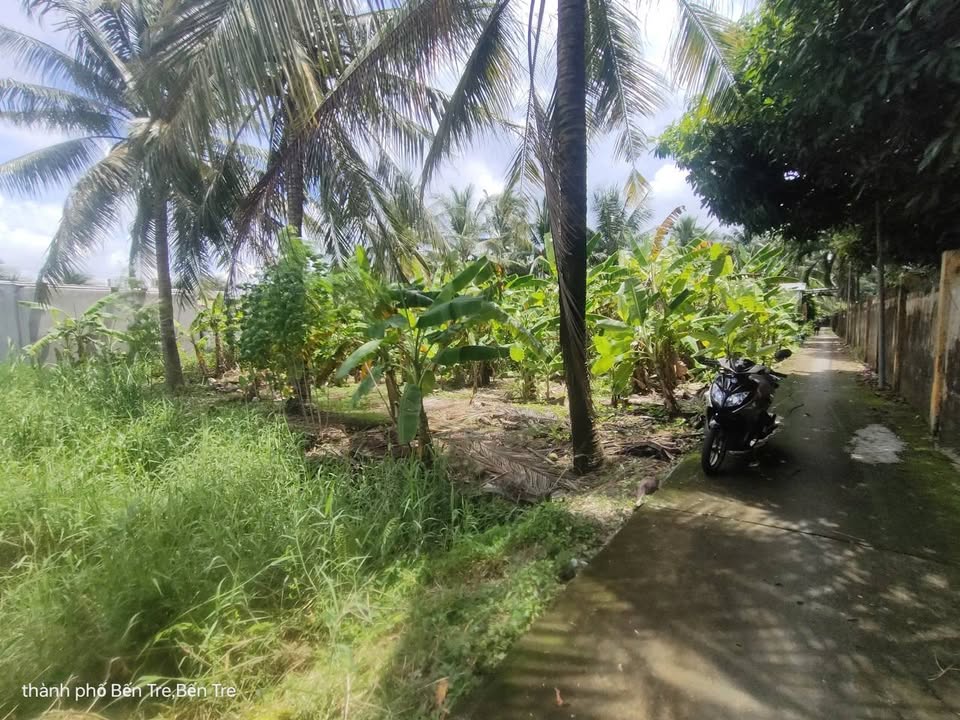 Bán đất Phường Phú Tân TP Bến Tre 750m² giá 2.4 tỷ - Sổ hồng sẵn