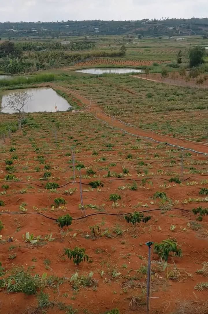 Đất nền Liên Hà Lâm Hà 5.300m² giá 2.6 tỷ - Sổ đỏ chính chủ