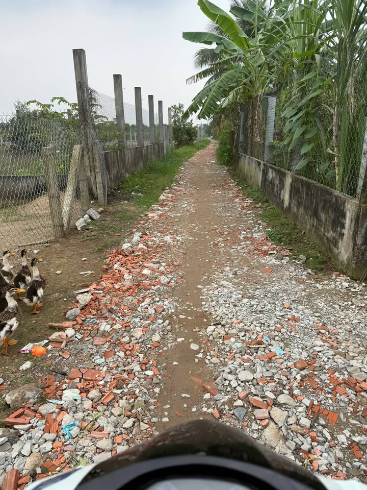 Bán Đất Nền Mặt Tiền Châu Thành, Tiền Giang - 169.8m² Thổ Cư