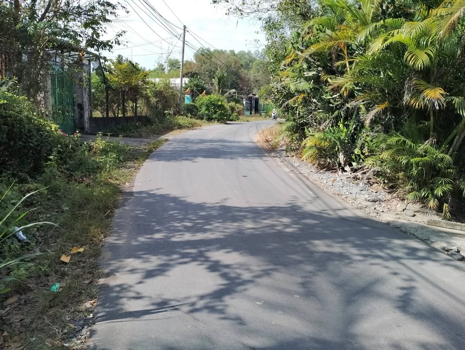 Bán Đất 2 Mặt Tiền Nguyễn Thị Dòn, Hóc Môn - 2155m² Thổ Cư, Giá Tốt Cuối Năm