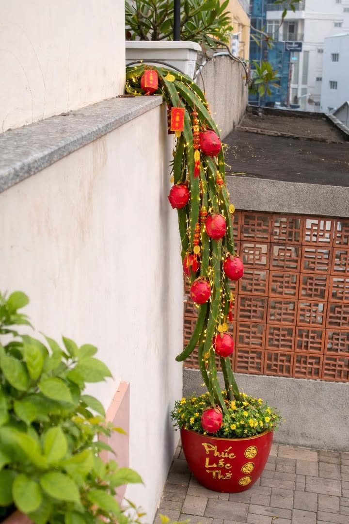 Nhà 45m² Xã Vĩnh Thạnh, Lấp Vò, Đồng Tháp - Giá Tốt Đầu Năm