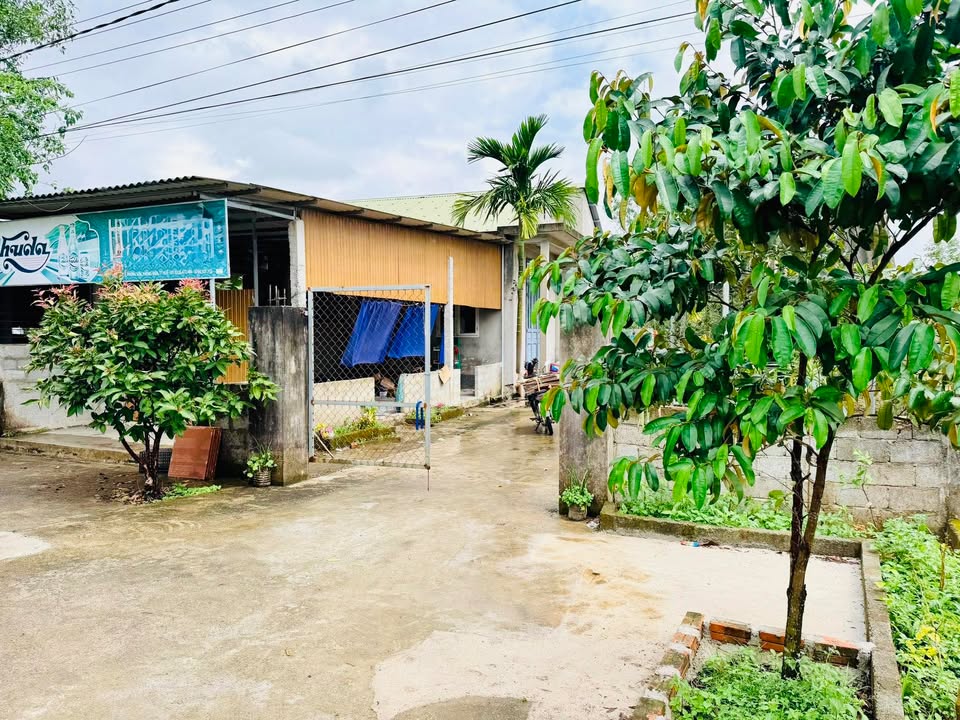 Bán nhà cấp 4 Phong Sơn Huế 560m² giá 800 triệu - Sẵn sàng ở ngay!