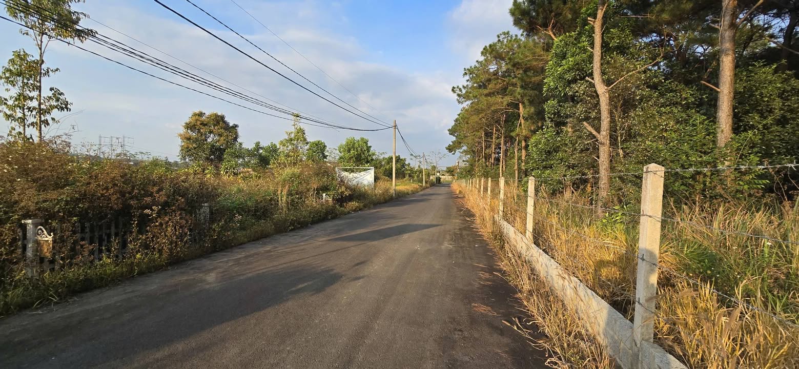 Đất nền Bảo Lộc 500m² - Nghỉ dưỡng lý tưởng!