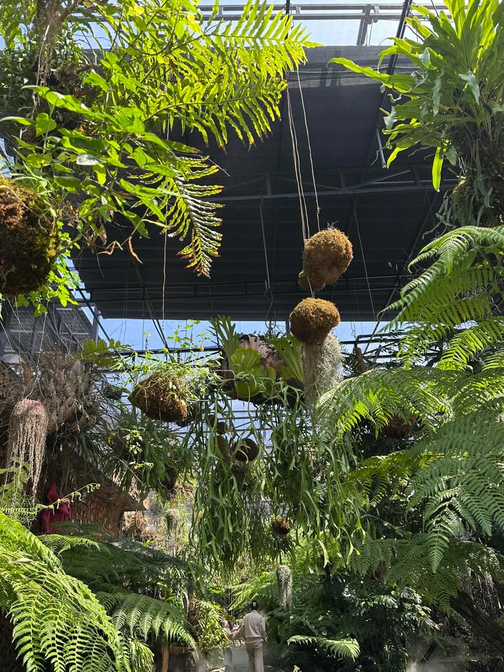 Bán Villa 2MT Võ Nguyên Giáp Đà Nẵng 140m² - Lõi An Thượng