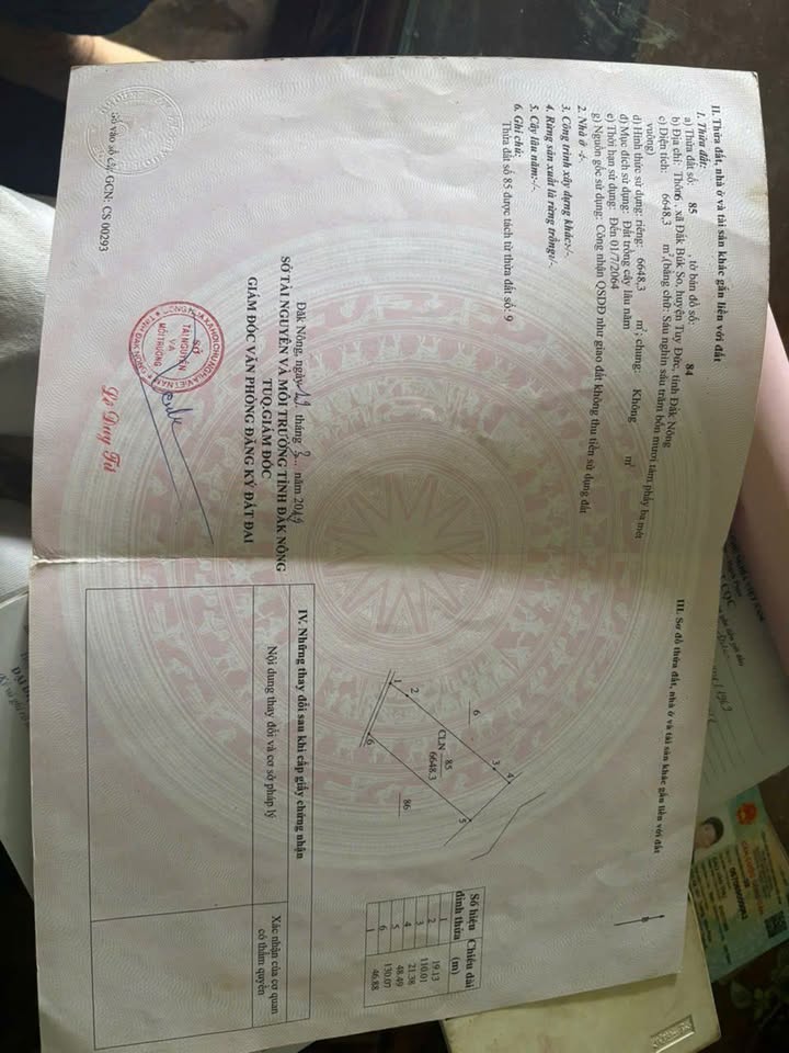 Đất Vườn Đắk Búk So Tuy Đức 7 Sào 670 Triệu - Nghỉ Dưỡng Lý Tưởng!