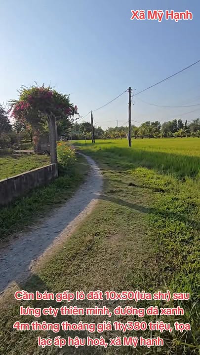 Đất nền Mỹ Hạnh Nam 157m² giá 1.6 tỷ - Sổ đỏ chính chủ