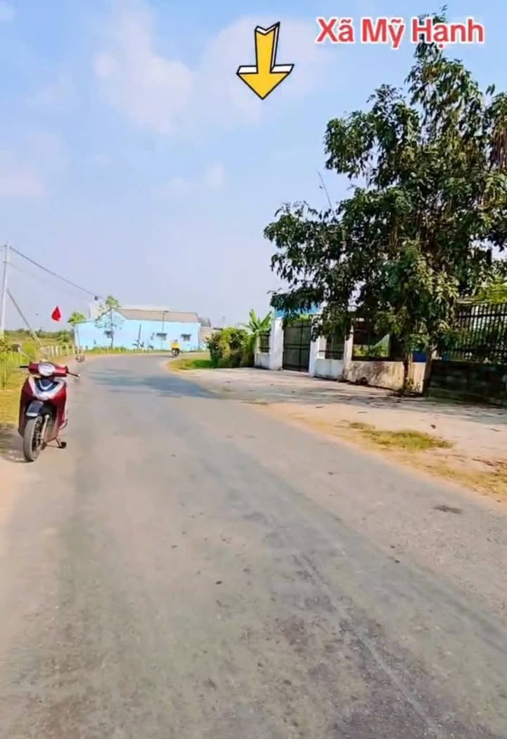 Lô đất Đức Hòa 220m² - Sổ hồng sẵn, đường nhựa 12m!